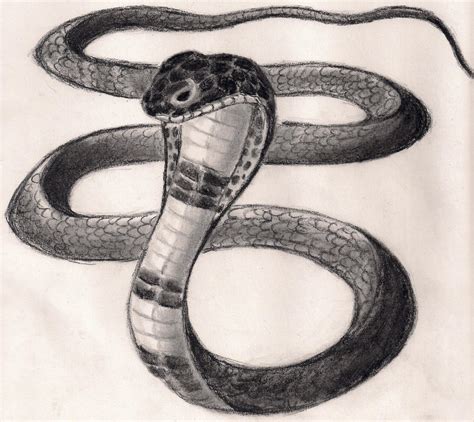 Slithering Snake by paranoiaPRODIGY on DeviantArt