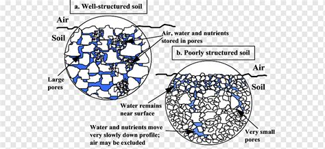 Silt Soil compaction Diagram Porosity, sand, text, structure, silt png | PNGWing