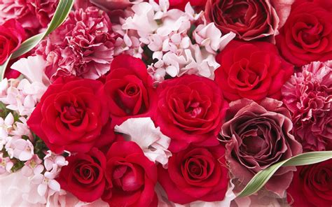 Romantic Roses - Roses Wallpaper (13966106) - Fanpop