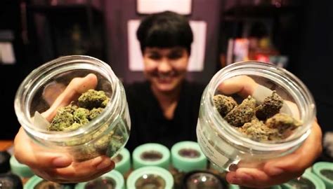 Exploring the Rise of Cannabis Tourism from Israel to Thailand - The European Business Review