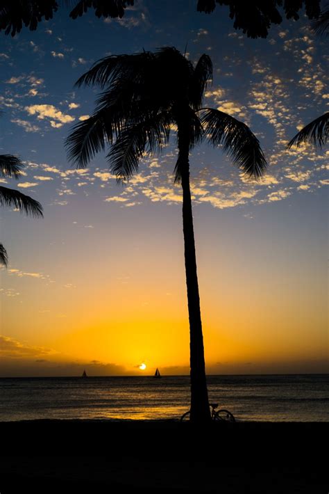 Waikiki sunset - Sunset on Waikiki beach | Waikiki, Sunset, Waikiki beach