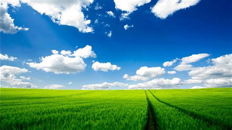 HD wallpaper: field under blue sky and white clouds photography, shroud ...