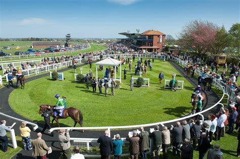 Beverley Racecourse puts £3.6m redevelopment on hold due to pandemic ...