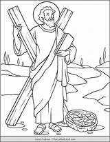 Saint Andrew Coloring Page  TheCatholicKidcom sketch template