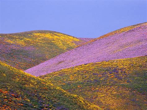 Untitled, gorman, hills, california, HD wallpaper | Peakpx