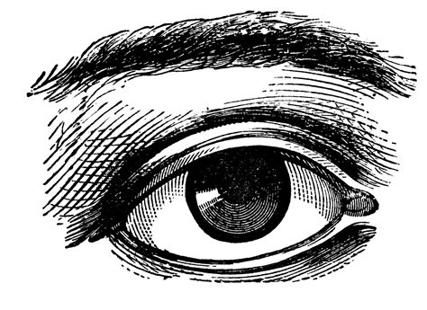 Eye Clip Art At Clker Com Vector Clip Art Online Roya - vrogue.co