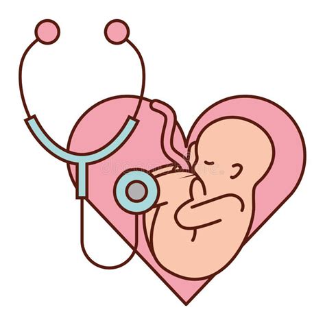 Fertilization Pregnancy Medical Stock Vector - Illustration of creation, tiny: 145551903