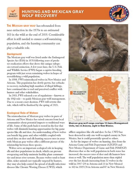 Fact Sheet: Hunting and Mexican Gray Wolf Recovery – Lobos of the Southwest