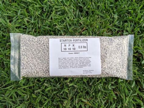 A Guide to Zoysia Grass - OPE Reviews