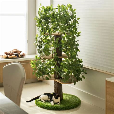 a black and white cat laying on the ground next to a potted plant in front of a window