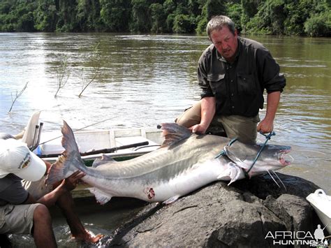 Piraiba catfish from the Amazon | AfricaHunting.com