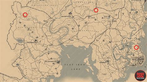 Red Dead Redemption 2 Bull Locations Map