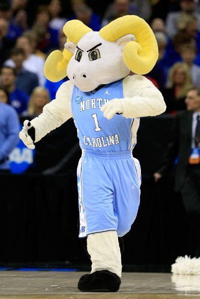 Rameses, the mascot for the North Carolina Tar Heels | North carolina tar heels, Unc tarheels ...