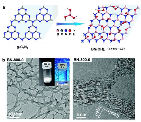 Functionalized hexagonal boron nitride nanomaterials: emerging ...