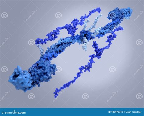 Structure of a Fibrinogen Molecule Stock Illustration - Illustration of hemorrhage, protein ...