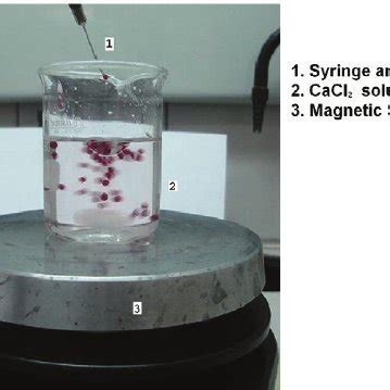 Encapsulation by entrapment in Ca-alginate beads. | Download Scientific Diagram