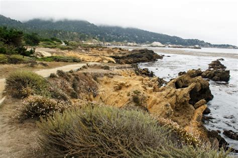 A Traveler's Guide to Hiking in Carmel, CA