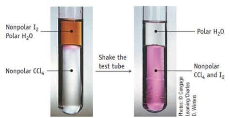 Solved: Iodine dissolves in water, but its solubility in a nonpola ...