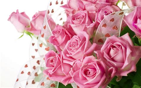 Pretty Pink Roses Wallpaper - Pink (Color) Photo (34590797) - Fanpop