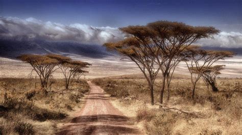 African Landscape Wallpapers - Top Free African Landscape Backgrounds ...