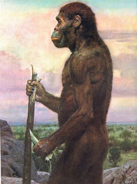 Australopithecus afarensis. | Ancient humans, Prehistoric animals, Prehistoric art