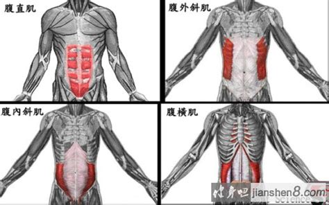 腰腹部_腹肌锻炼方法图解_锻炼腹肌最有效的方法_腹肌撕裂者视频教程_健身吧