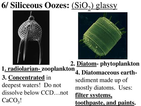 Deep Sea Sediments. - ppt download