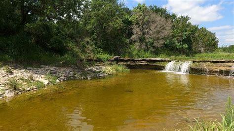 North Bosque River trip, in search of Texas vitis rupestris - YouTube