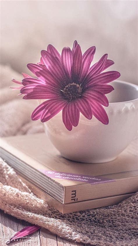 Books and Flowers Wallpapers - Top Free Books and Flowers Backgrounds ...