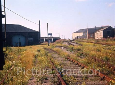 Stockton North Shore Branch | Picture Stockton Archive