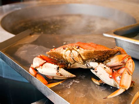 Curious questions: What's the best way to cook a crab? - Country Life