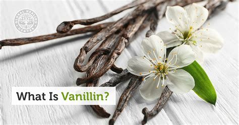 What is Vanillin?