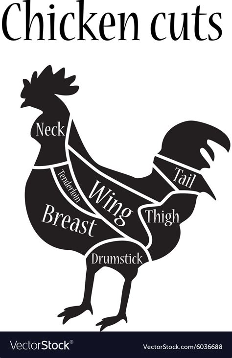 Chicken cuts Royalty Free Vector Image - VectorStock