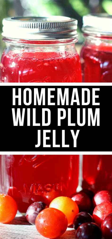 Wild Plum Jelly Recipe, Plum Jelly Recipes, Homemade Jelly, Homemade Bread, Diy Homemade ...