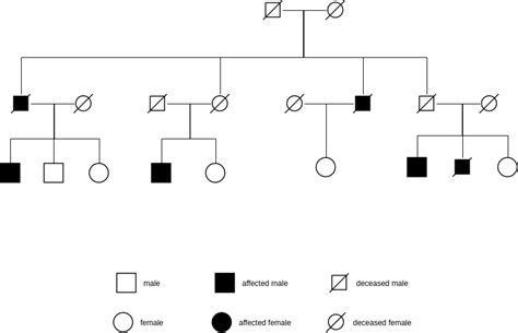 Linked Recessive Pedigree Chart | Pedigree Chart Template