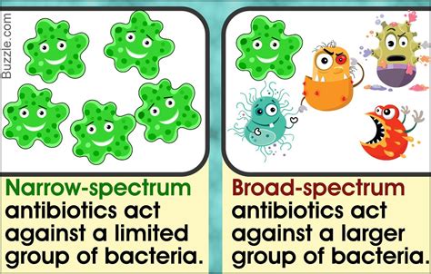 Narrow-spectrum Vs. Broad-spectrum Antibiotics: A Comparative Analysis ...