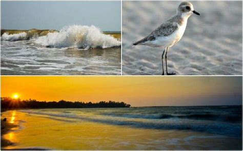 14 Beaches in Alibaug (updated 2023 list) That Call For An Amazing Vacay!