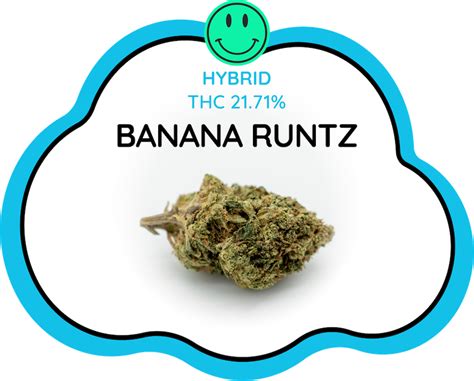 Banana Runtz - Cloud Nine Thailand