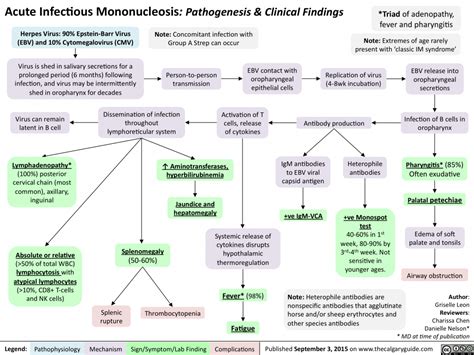 Acute Infectious Mononucleosis: Pathogenesis and clinical findings | Calgary Guide