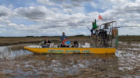 Everglades Alligator Farm (Homestead) - 2021 Lo que se debe saber antes ...