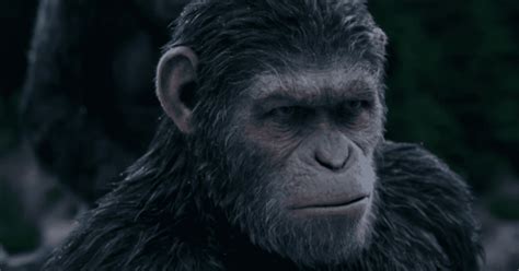 'Kingdom of the Planet of the Apes' remolds original Caesar's story with major plot twist | MEAWW