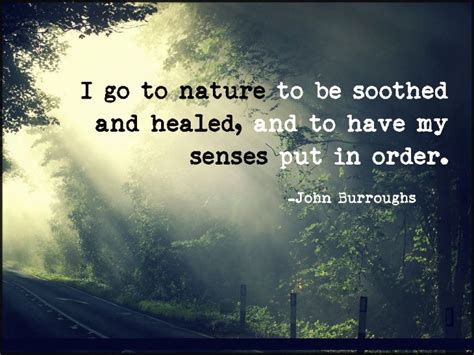 I go to nature to be soothed and healed, and to have my senses put in order | Nature quotes ...