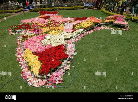 Ooty Rose Garden High Resolution Stock Photography and Images - Alamy