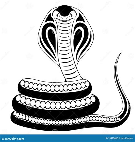 Snake, Cobra, tattoo stock vector. Illustration of ferocious - 13993860