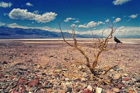 Escapada al «infierno en la Tierra»: el Valle de la Muerte | Eltiempo.es