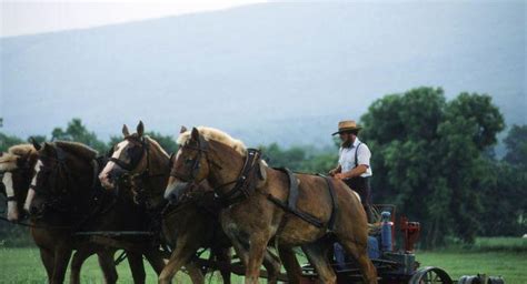 Pennsylvania Dutch Country Photo Gallery | Fodor’s Travel