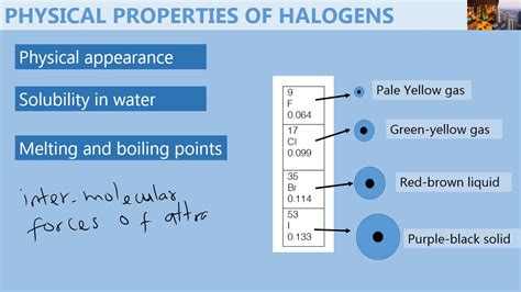 Physical properties of halogens - YouTube