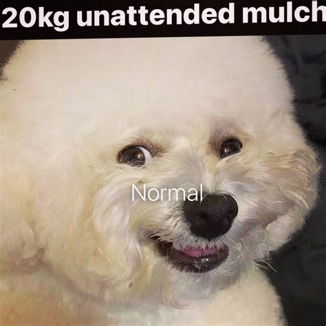 20kg unattended mulch | Mulch Gang for Life | Know Your Meme