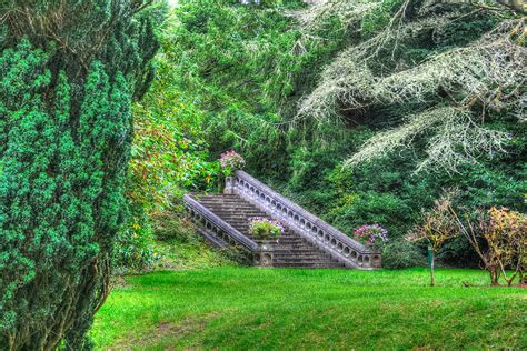 Ashford Castle Garden Photograph by John A Megaw