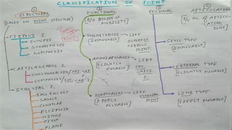 Joints Classification (Only One Chart) | TCML - YouTube